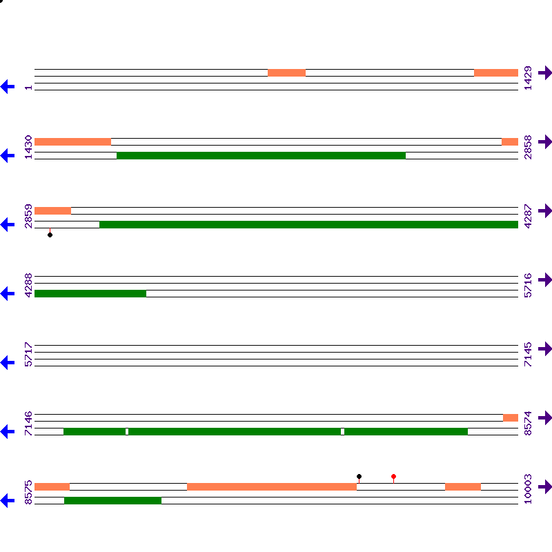 Genome View
