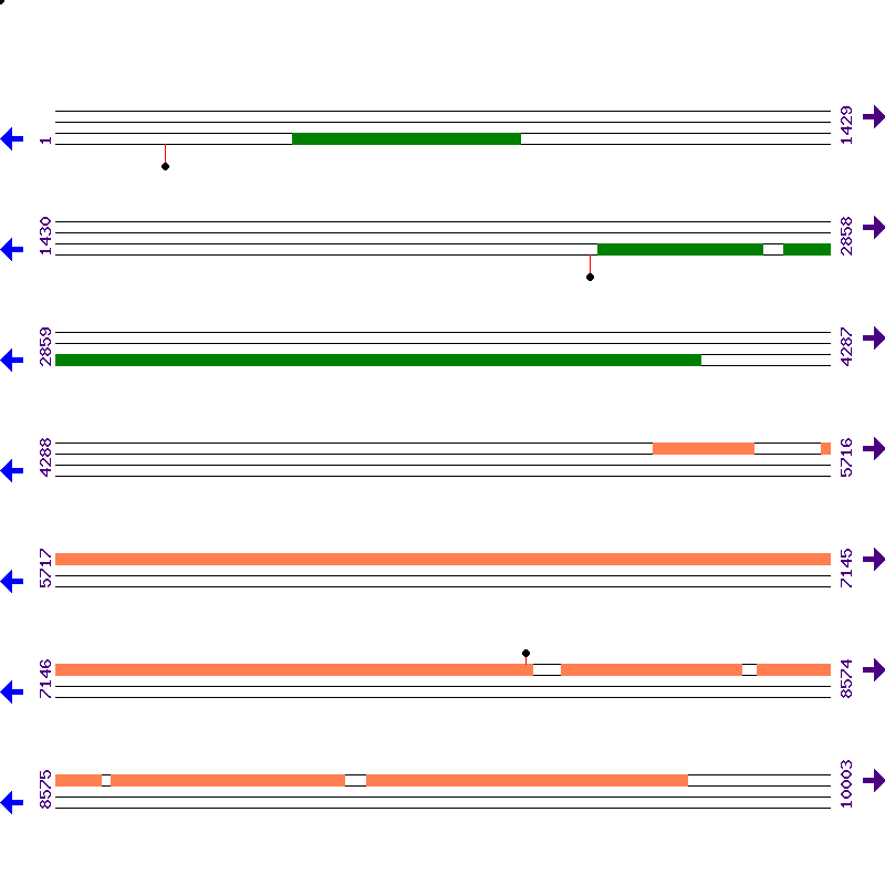 Genome View