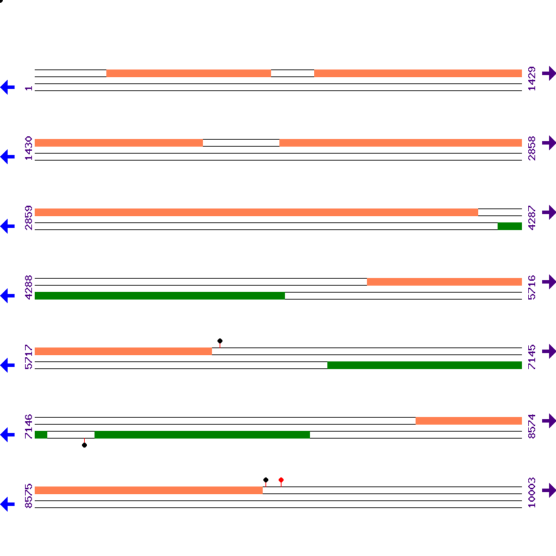 Genome View