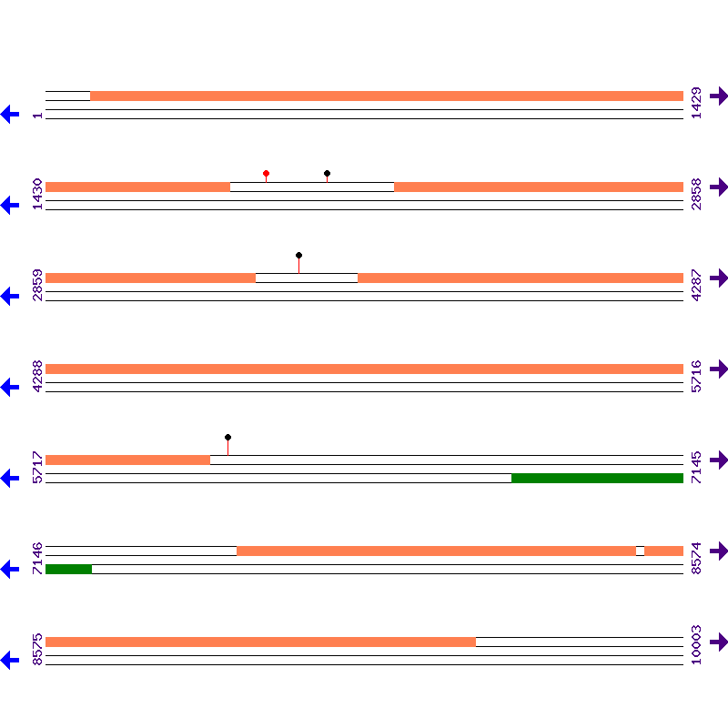 Genome View