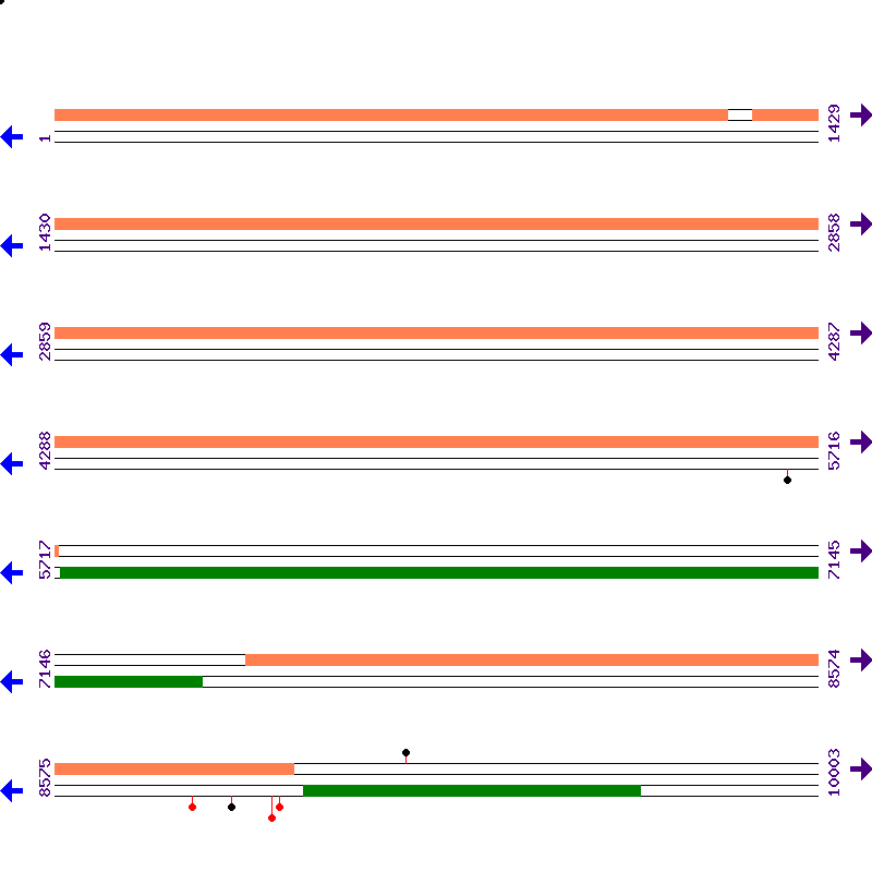 Genome View