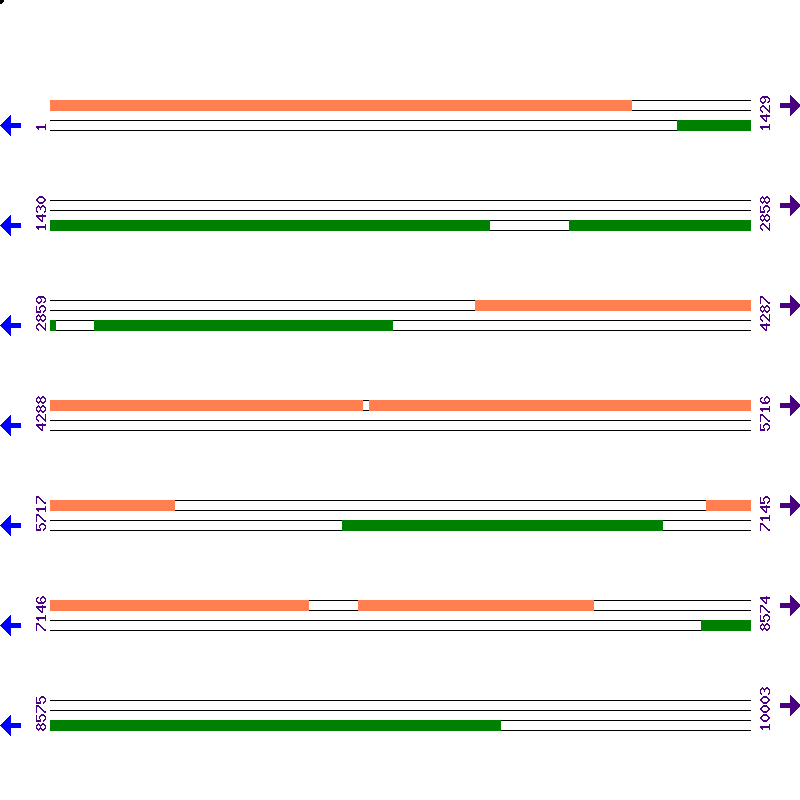Genome View