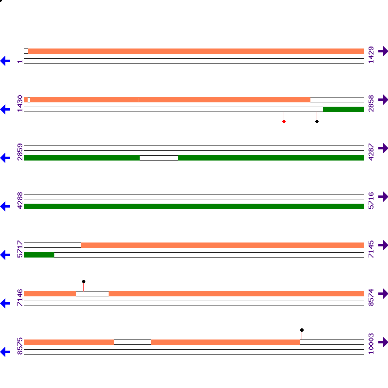 Genome View