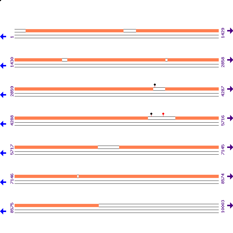 Genome View