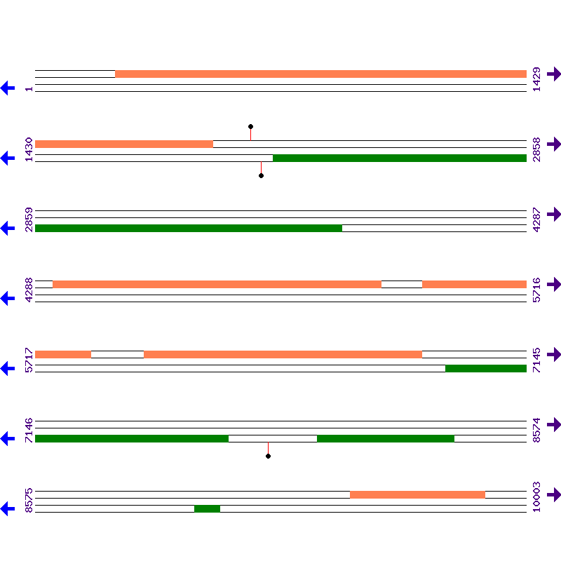 Genome View