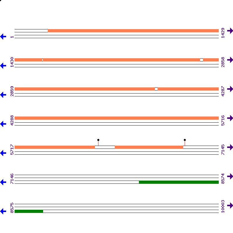 Genome View