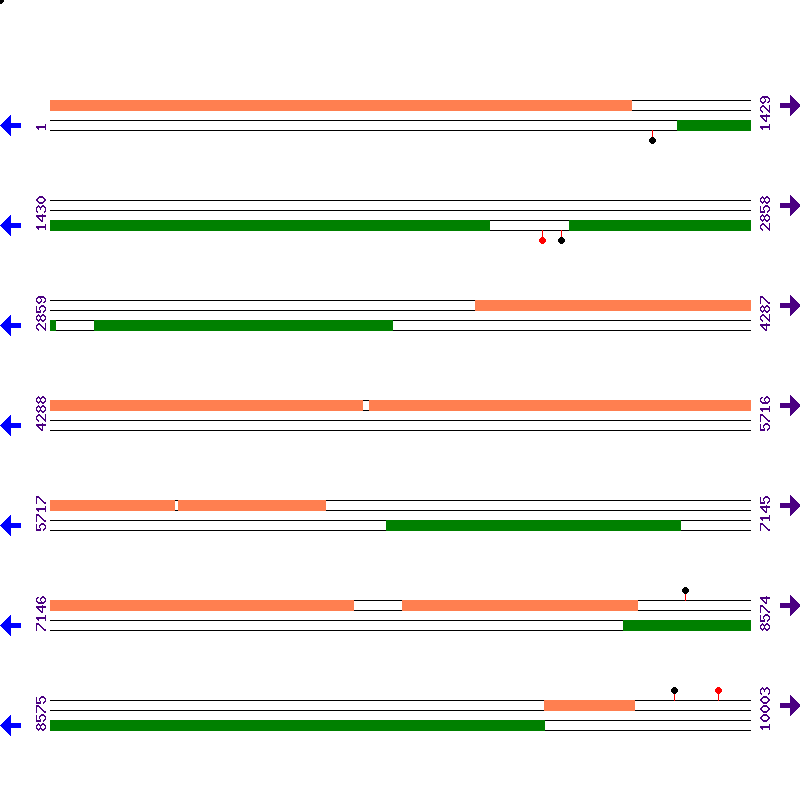 Genome View