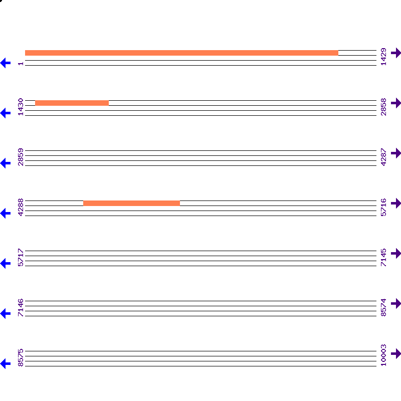 Genome View