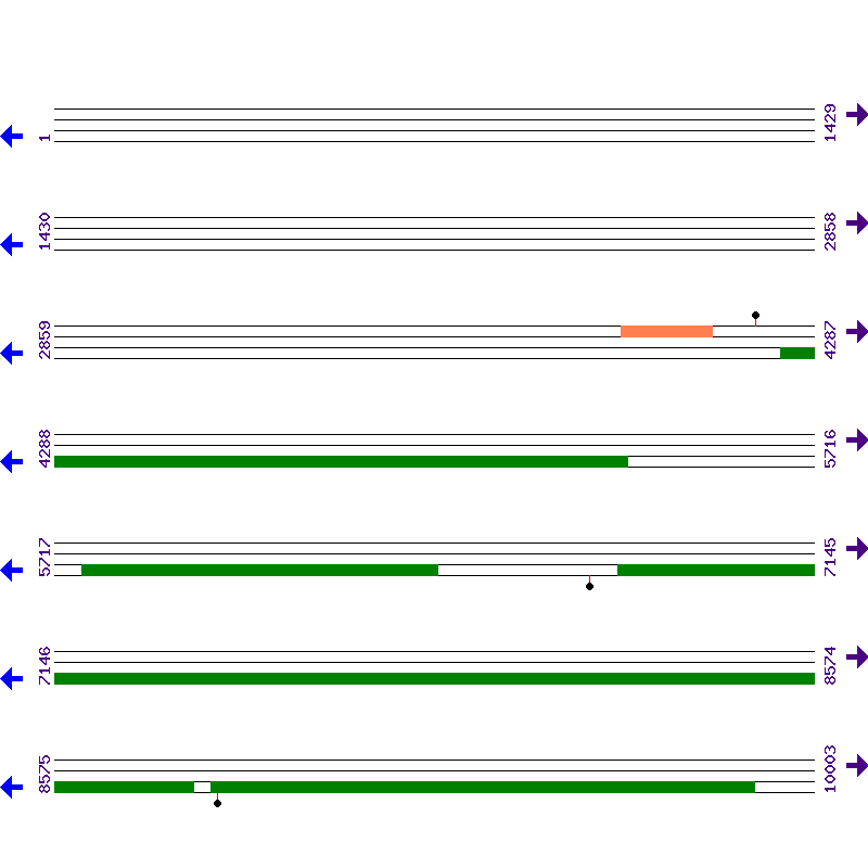 Genome View