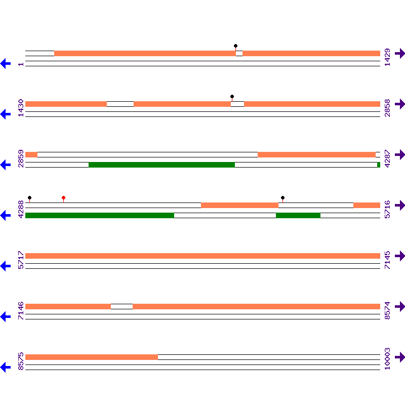 Genome View
