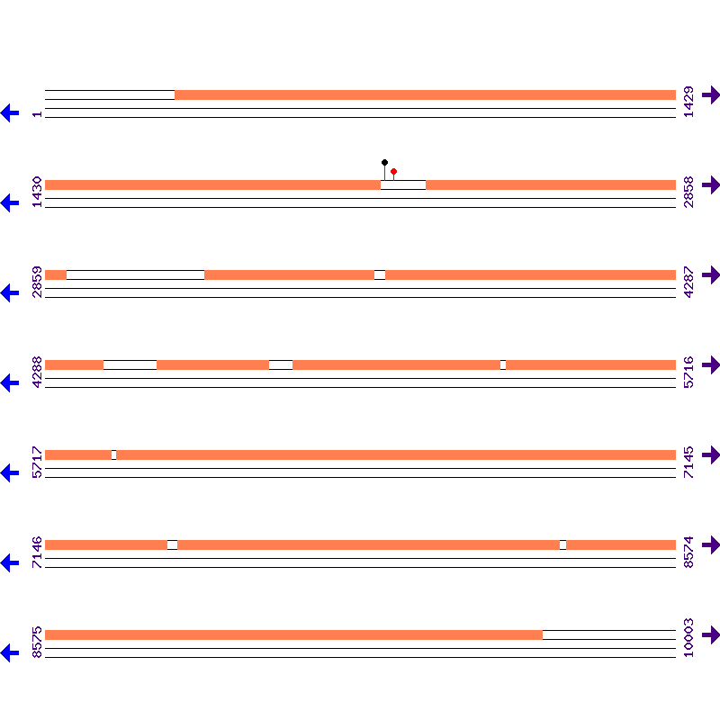Genome View