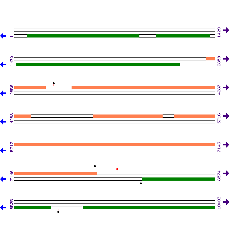 Genome View