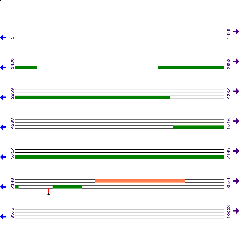 Genome View
