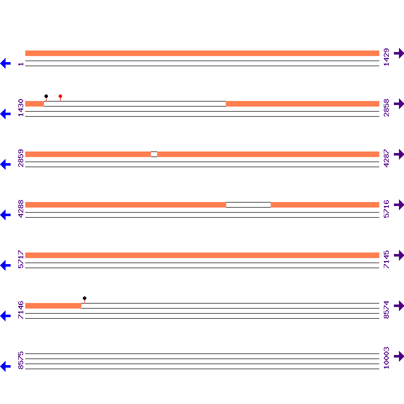 Genome View