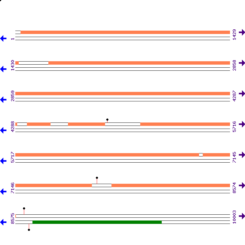 Genome View