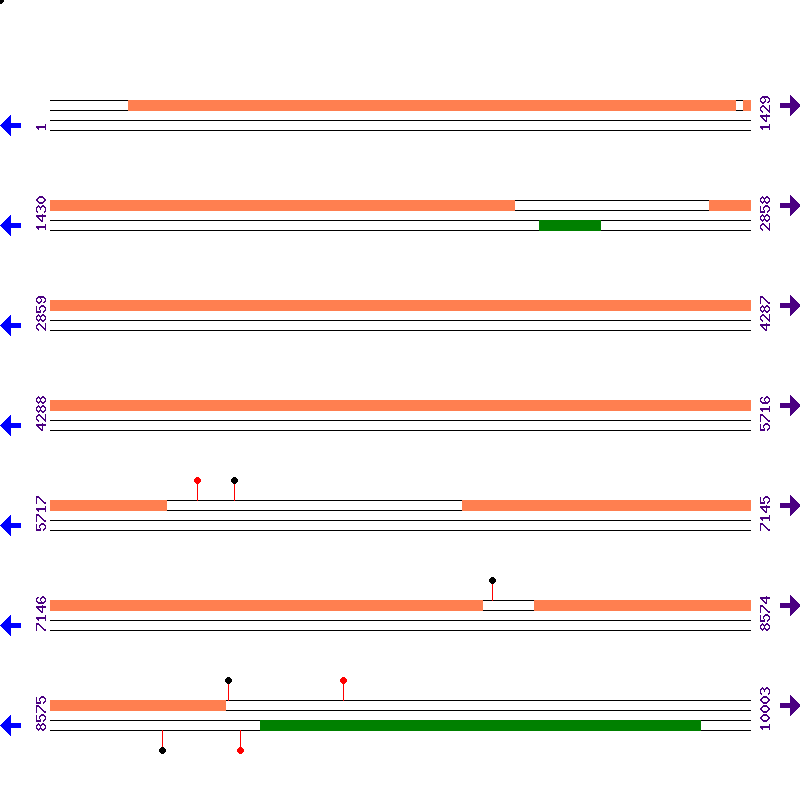 Genome View