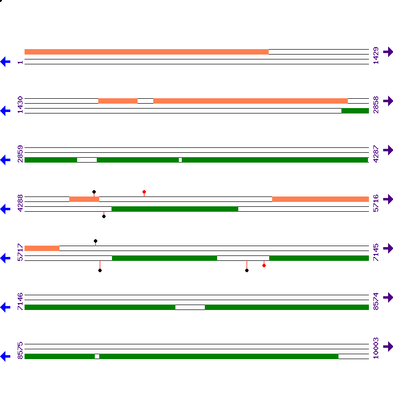 Genome View