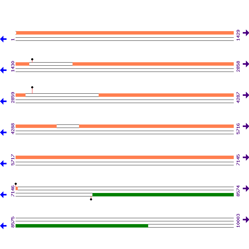Genome View