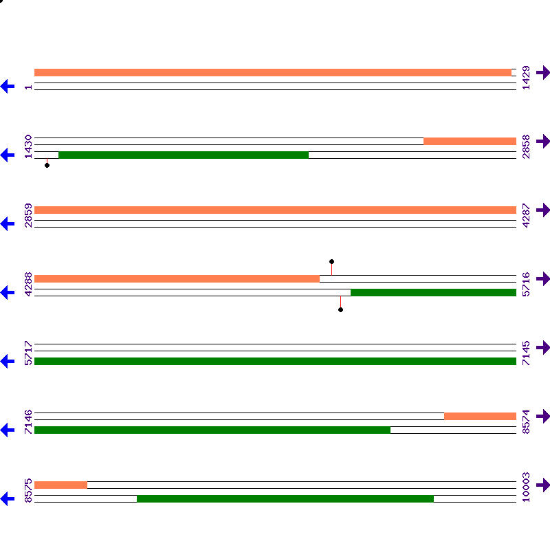 Genome View