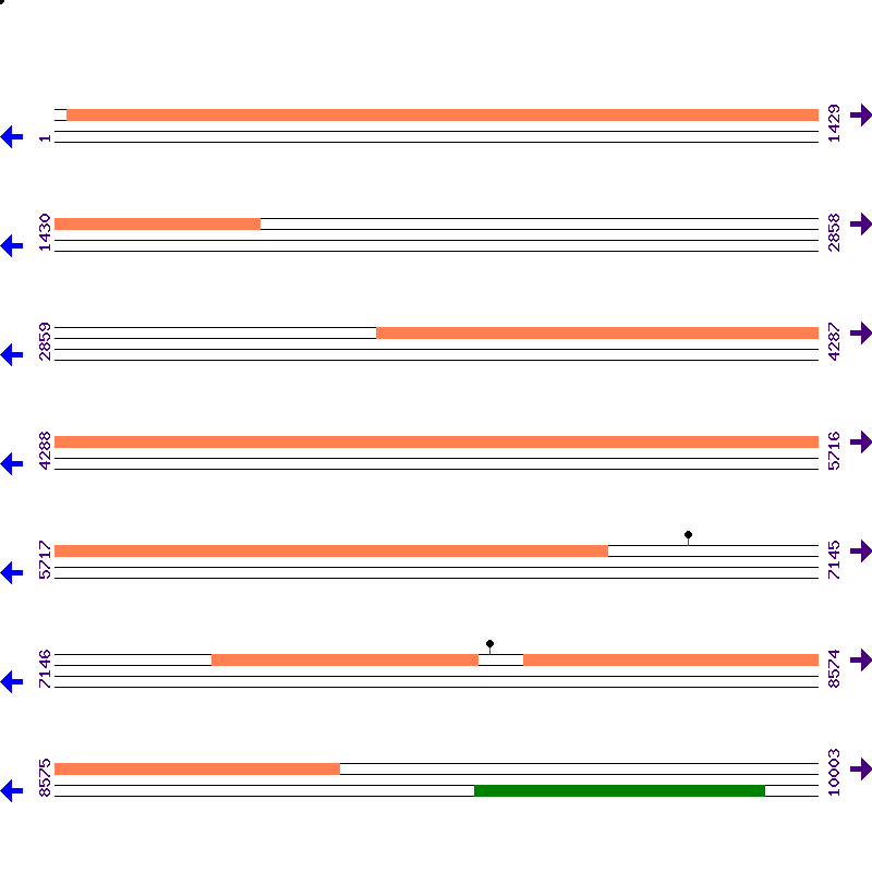 Genome View