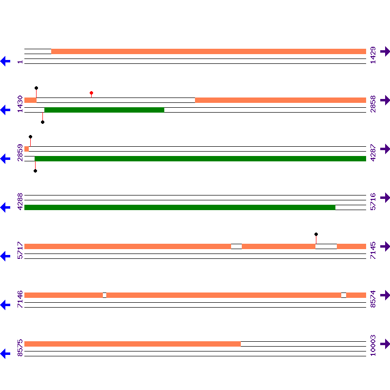 Genome View