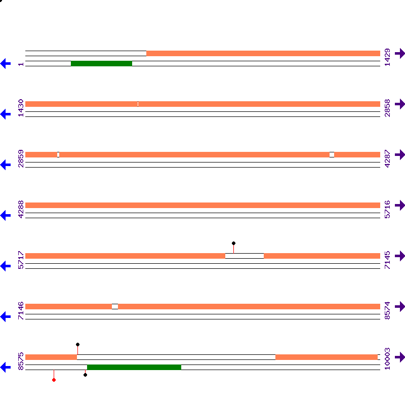 Genome View