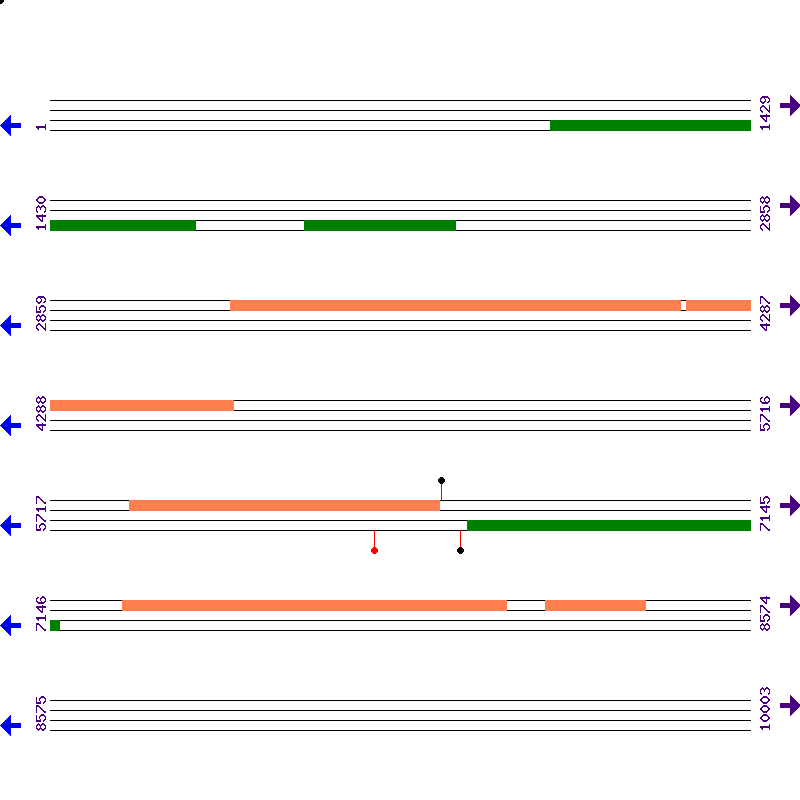 Genome View