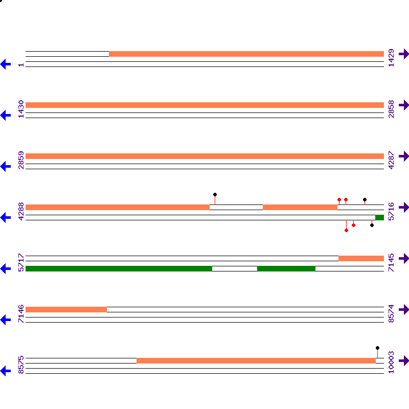 Genome View