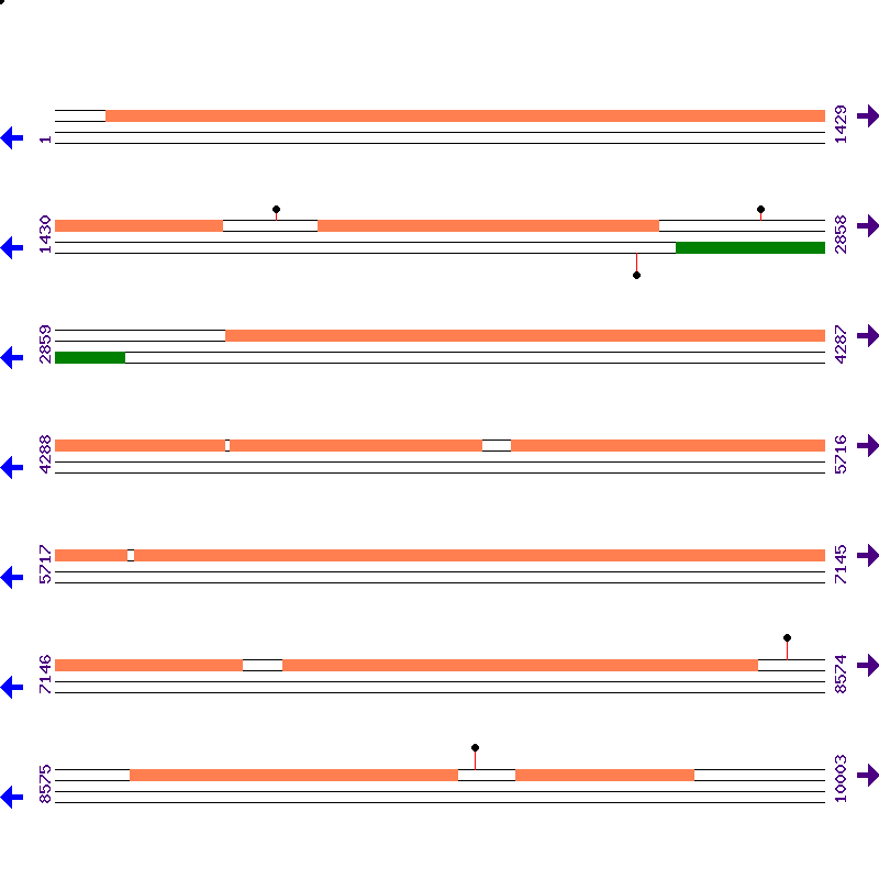 Genome View