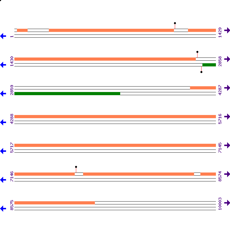 Genome View