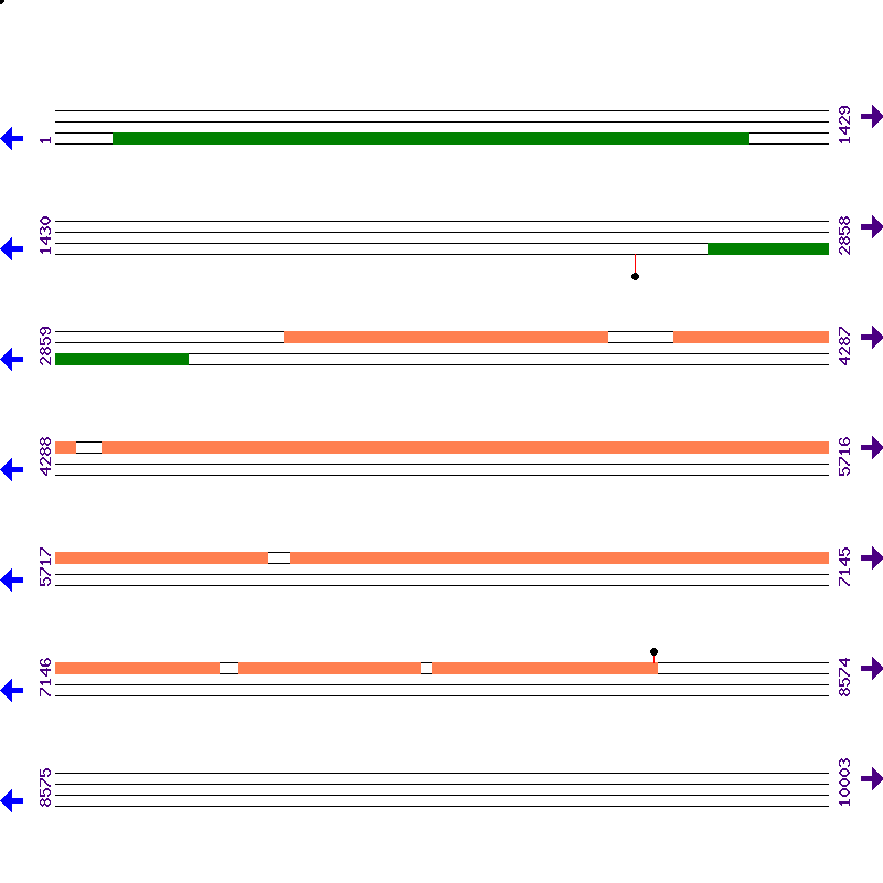 Genome View