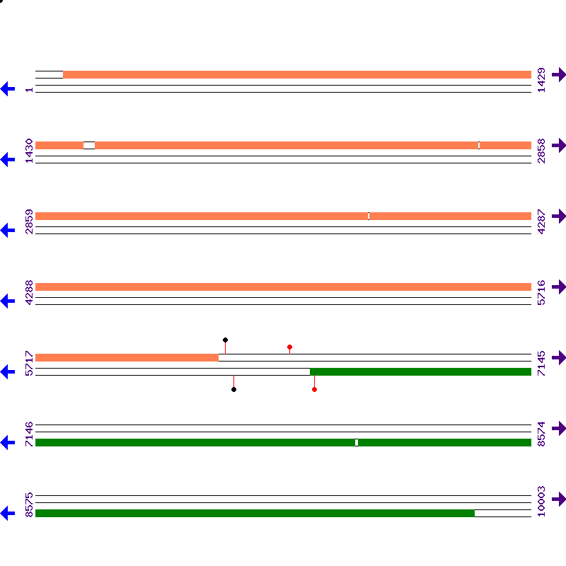 Genome View