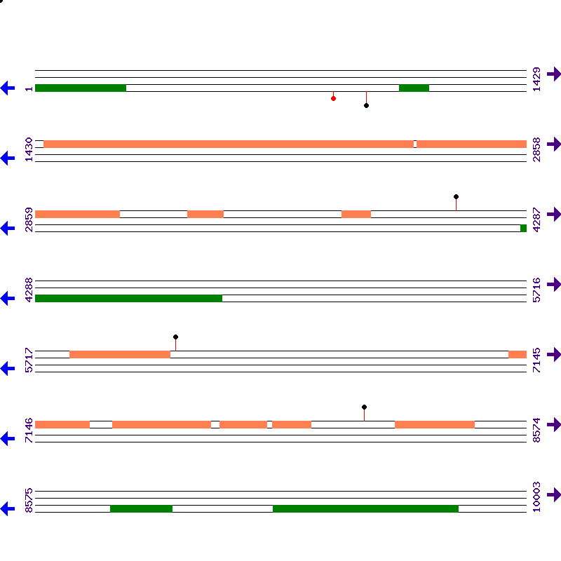 Genome View