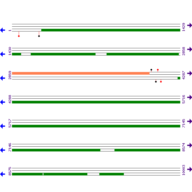 Genome View