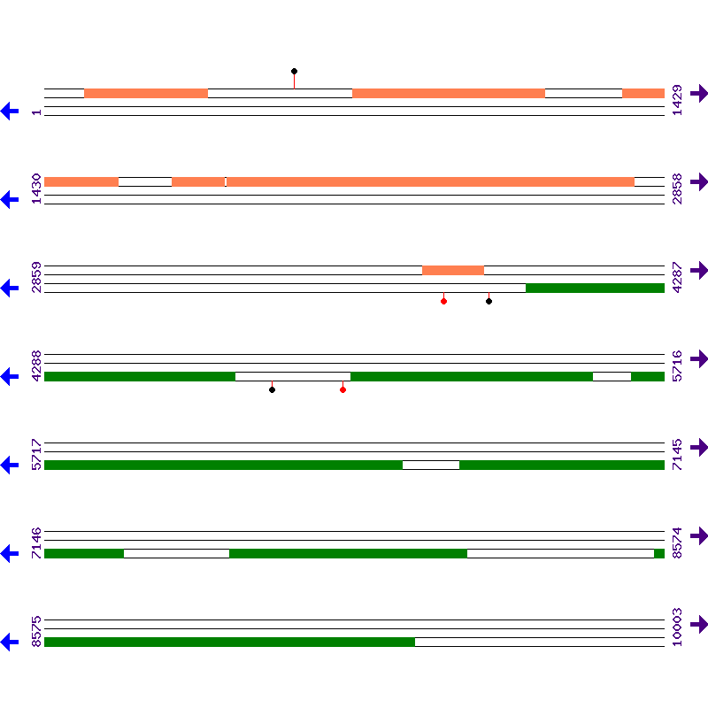 Genome View