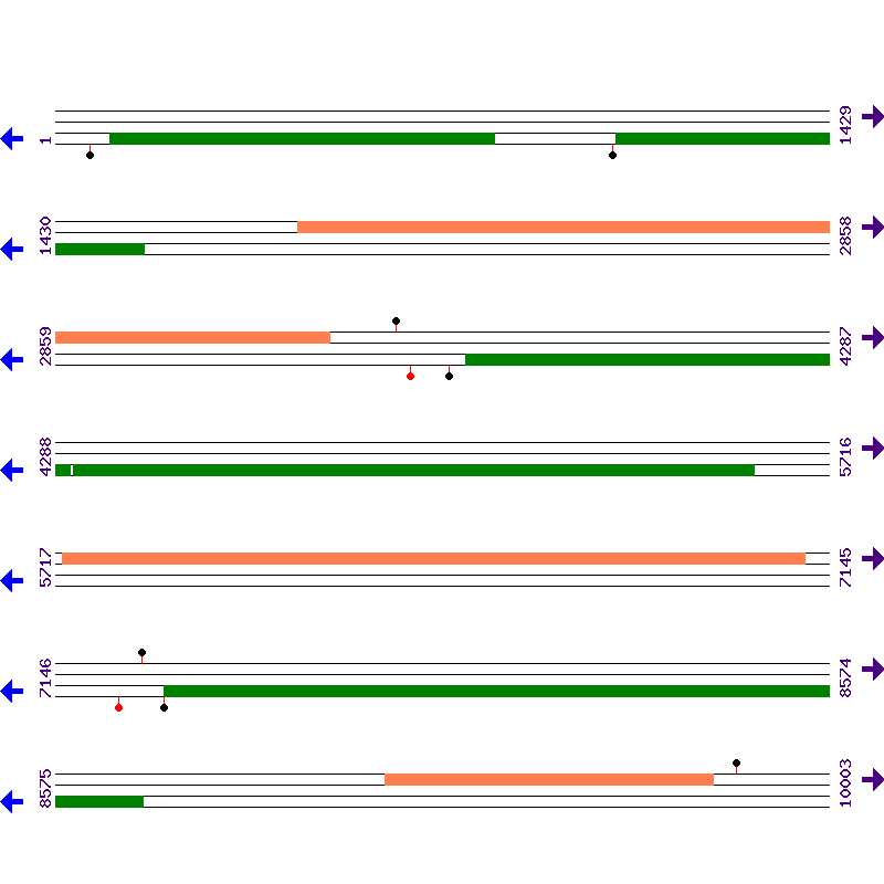 Genome View