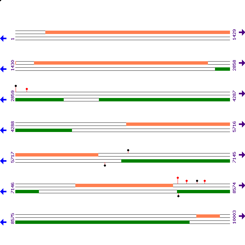 Genome View