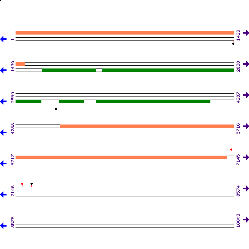 Genome View