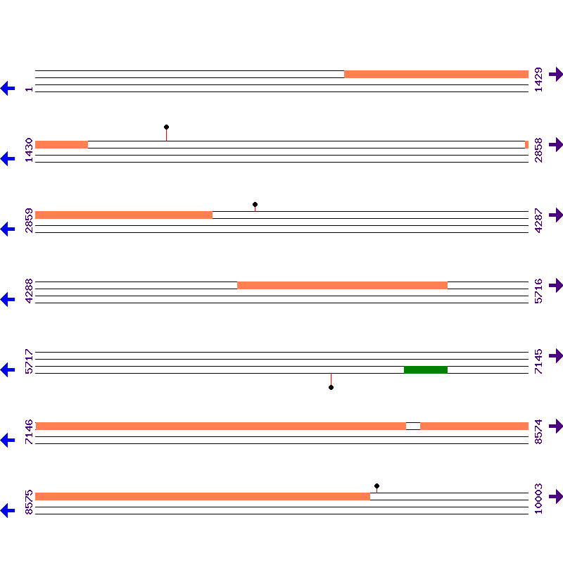 Genome View