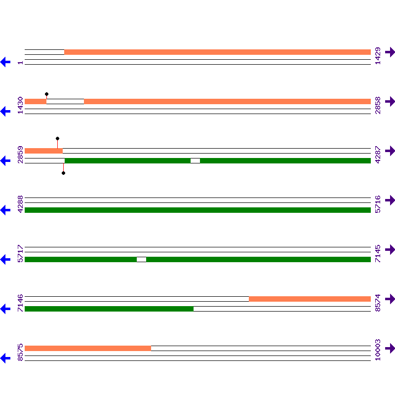 Genome View