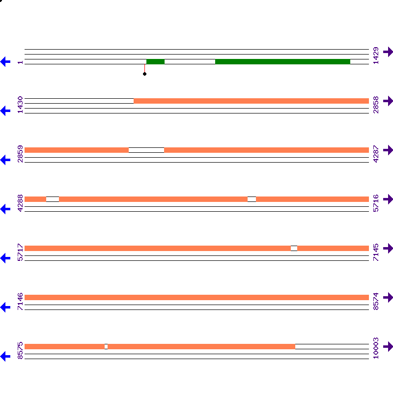 Genome View