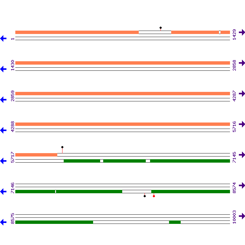 Genome View
