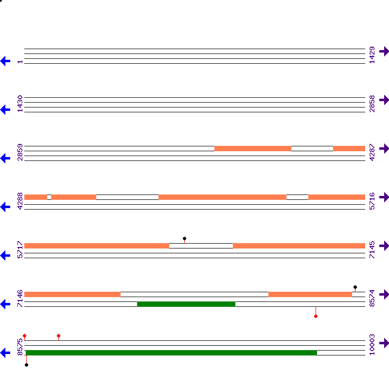 Genome View