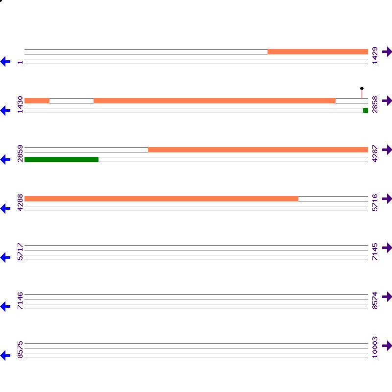 Genome View