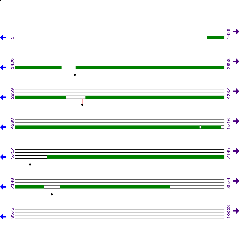 Genome View