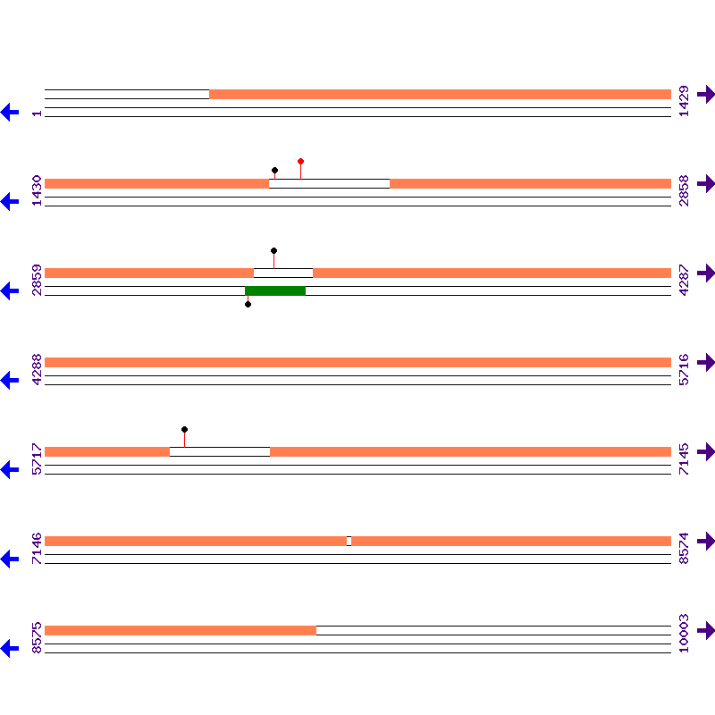Genome View