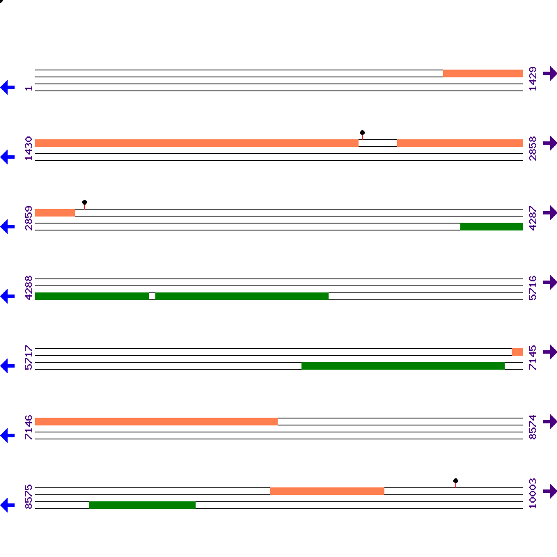 Genome View