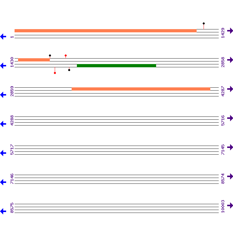 Genome View