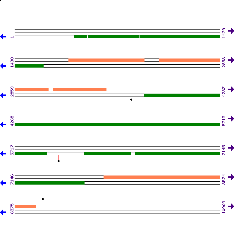 Genome View