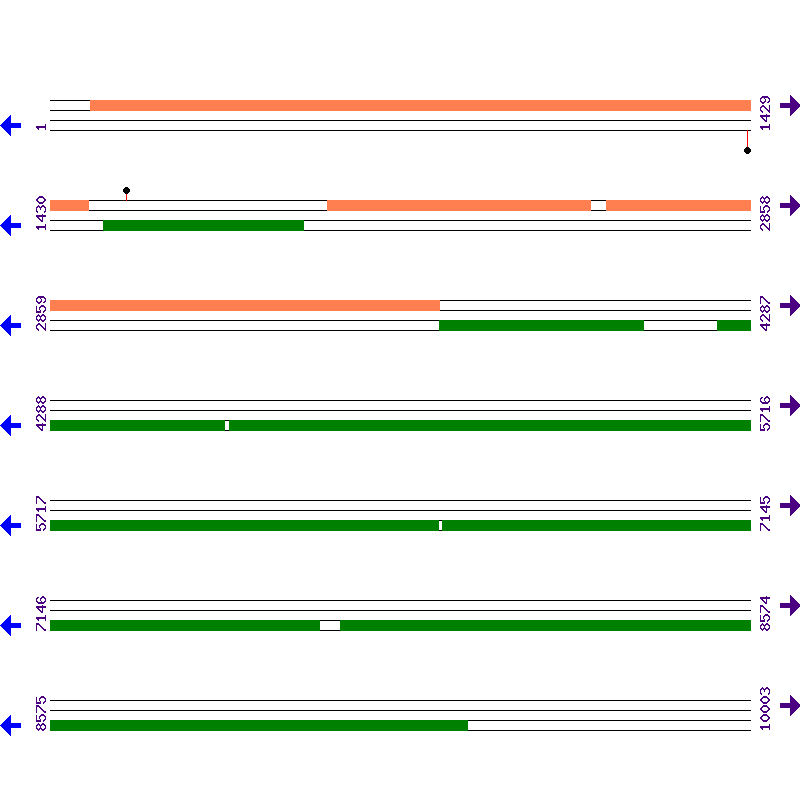 Genome View